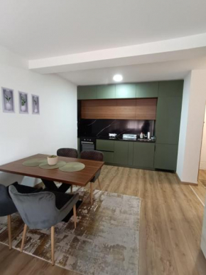 Luksuzni Apartman Ema 2